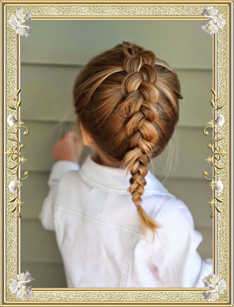 Fun Easy Braided Hairstyles for School