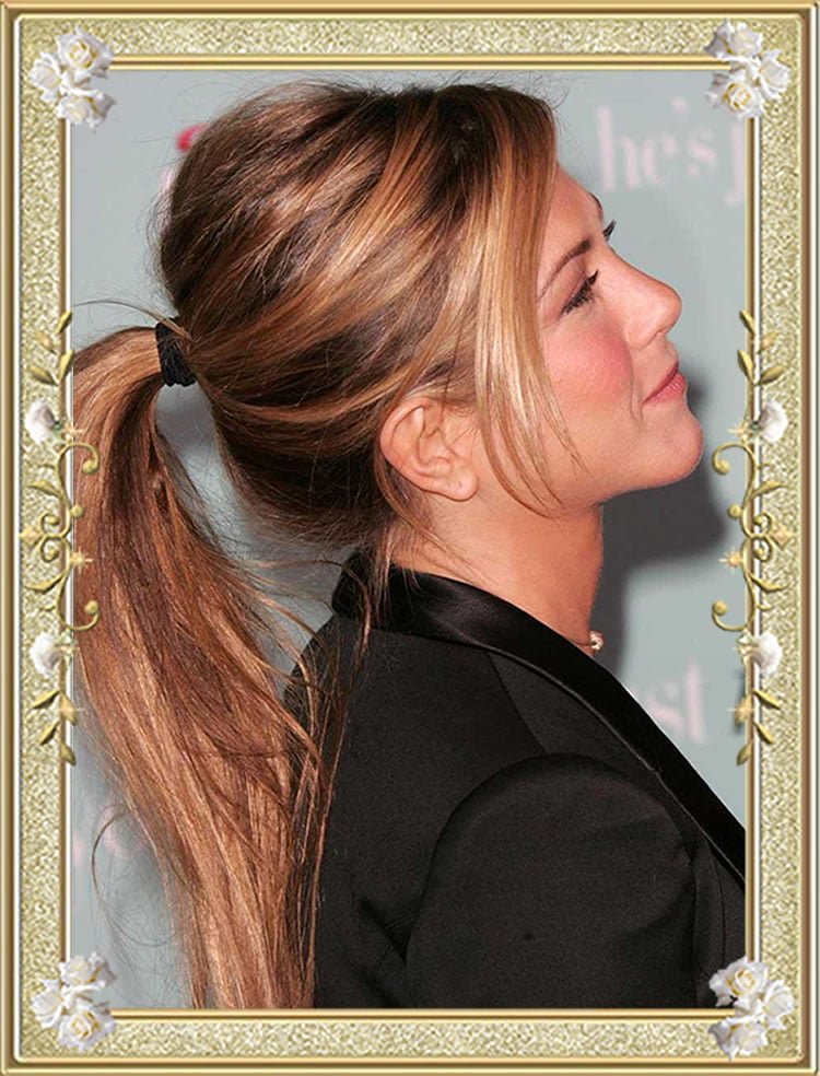 Superb Updo Ponytail Hairstyles for Long Hair Chocolate Hair