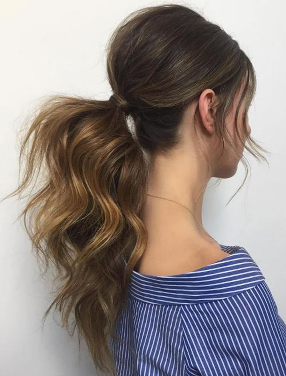 Ponytail Hairstyles 2017-2018