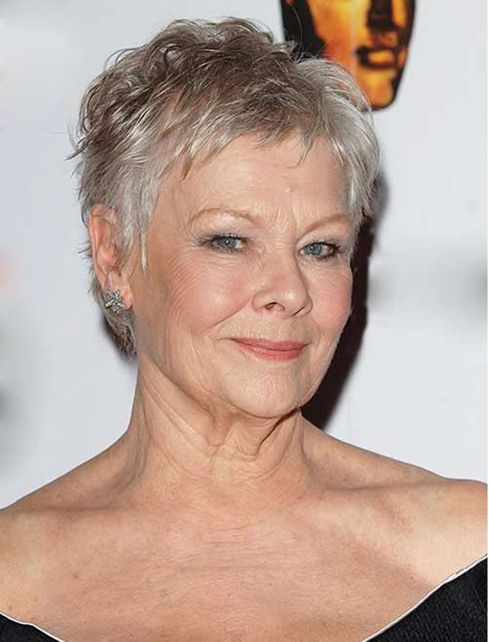 33 Top Pixie Hairstyles for Older Women over 50 (2020 ...