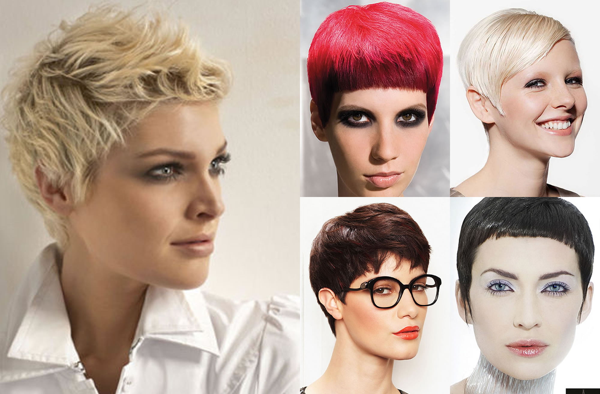 Short Hair Colors Trendy Short And Pixie Haircut Ideas